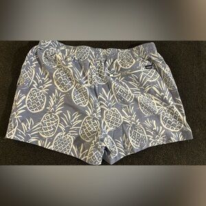 Like New Chubbies Swim Trunks